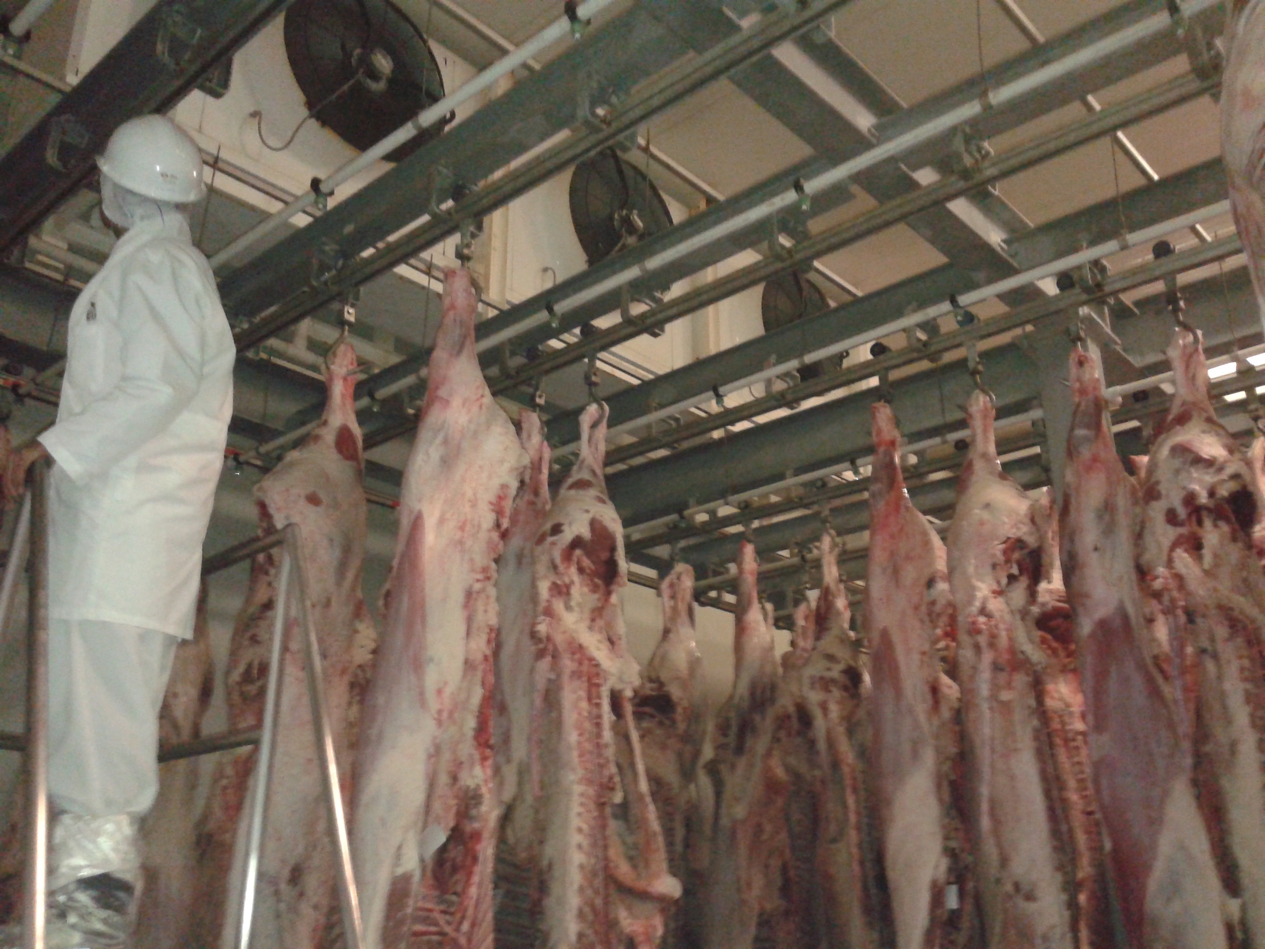 Realizamos proyectos dirigidos a las industrias de alimentos, con especialidad a la cárnica.